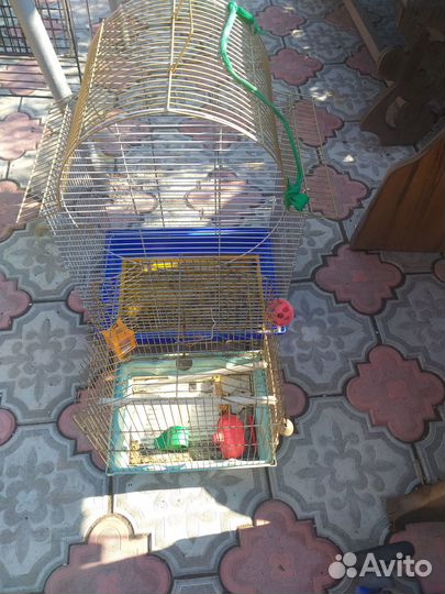 Клетка для птиц