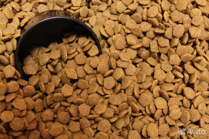 Сухой корм для собак