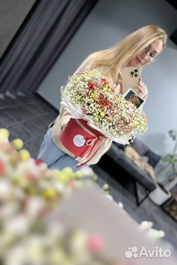 Гипсофила живые цветы букеты доставка