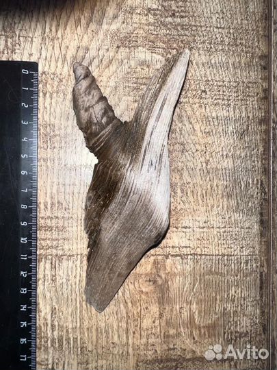 Дар природы