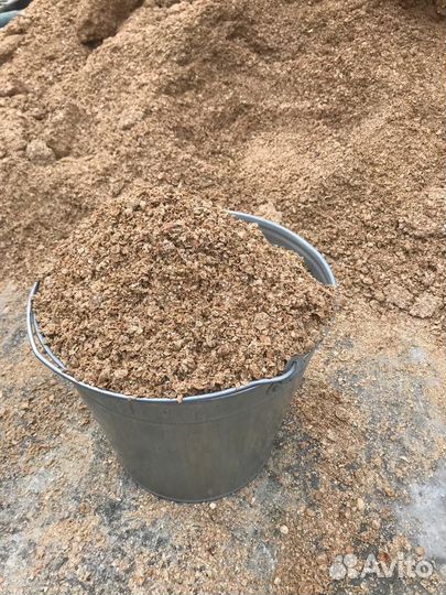 Ракушка морская кормовая