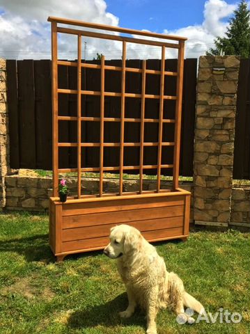 Вазоны грядки шпаллера высокие огурцы вьющиеся