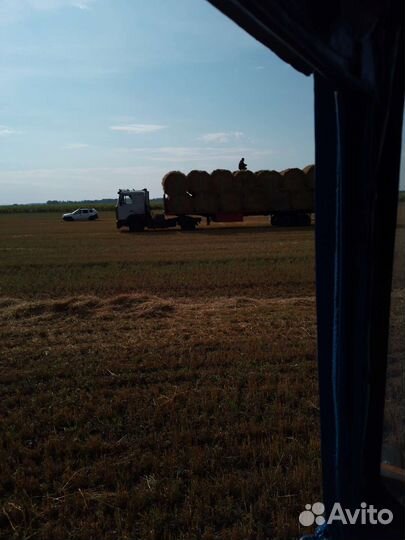 Товары для животных