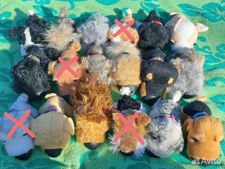 The dog collection
