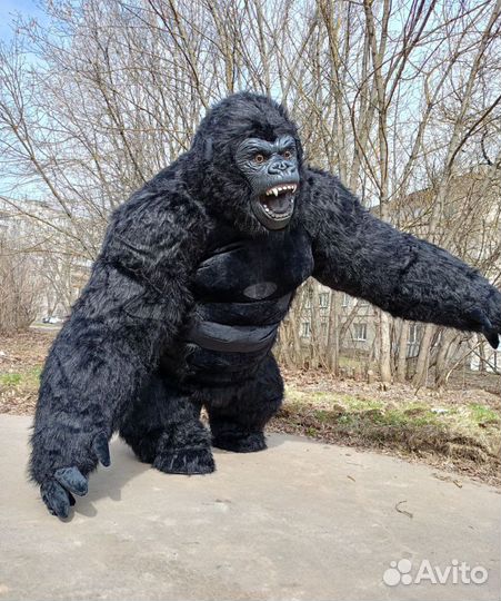 Ростовая кукла поздравления Кинг Конг Белый Мишка