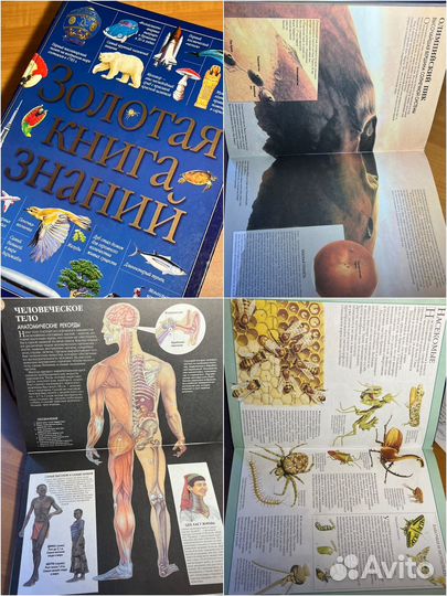 Много детских больших красивых книг