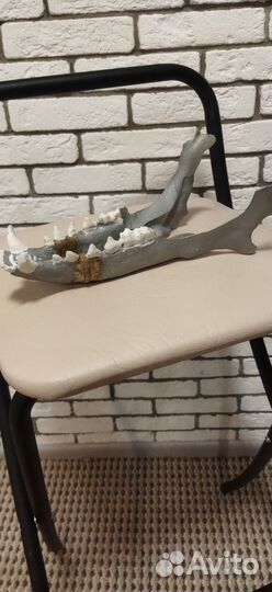 Фурри маска скалл дог