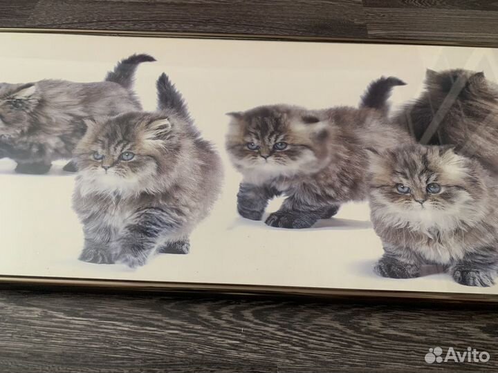 Картина 34/96 см