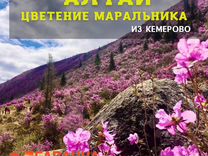 Тур на Алтай из Кемерово