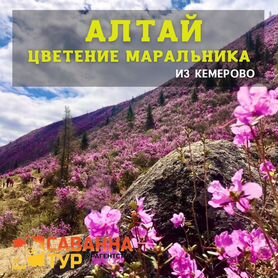 Тур на Алтай из Кемерово