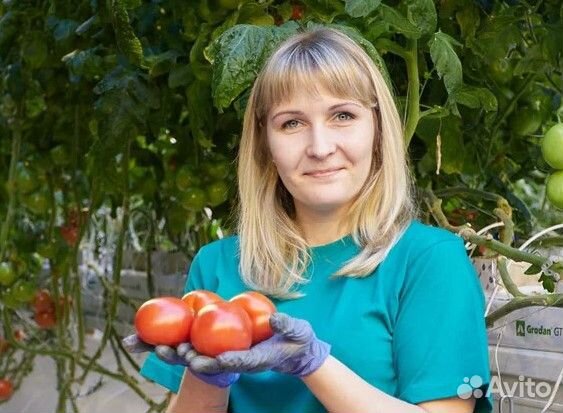 Упаковщик на новый завод в Волгоградской обл