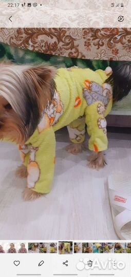 Пижама для собаки