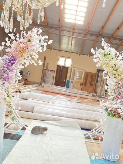 Арка продажа