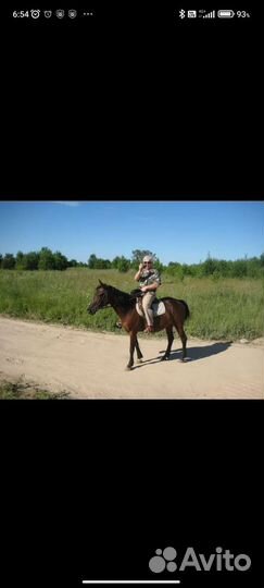 Гид экскурсовод по Пскову и его пригородам
