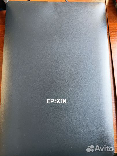 Сканер Epson Perfection V19