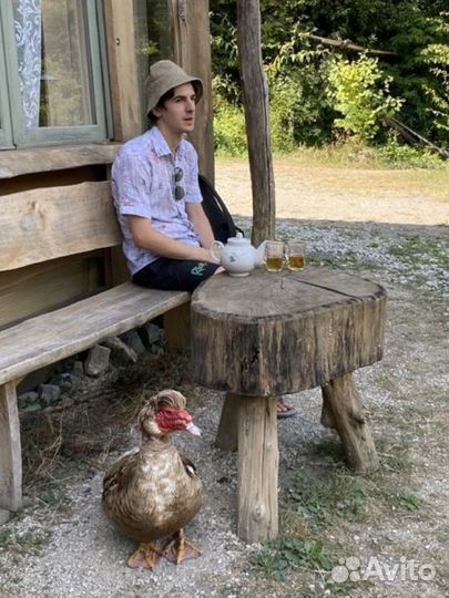 Опытный репетитор по биологии егэ, огэ, олимпиады