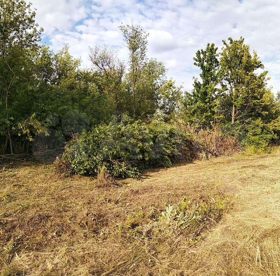 Участок 56 сот. (ИЖС)