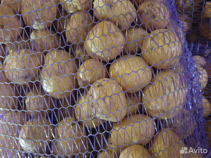 Картофель мелкий опт