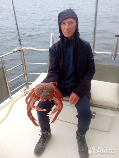 Репетитор по математике и физике, егэ, огэ