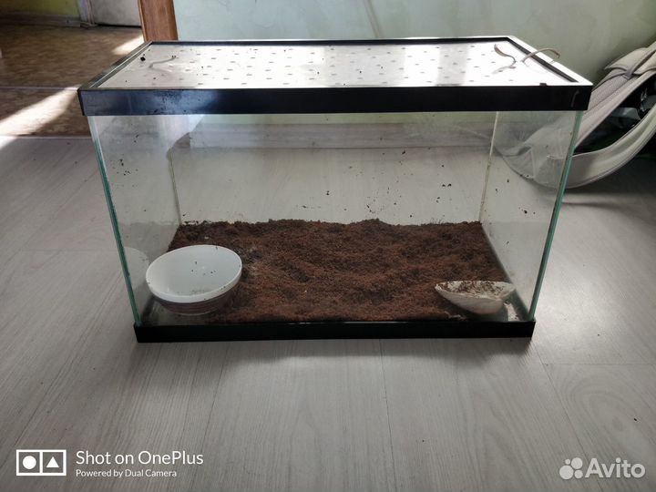Аквариум (стекло)