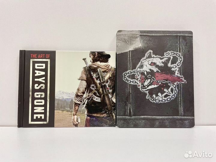 Days Gone Special Edition PS4