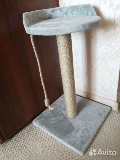 Когтеточка