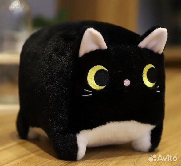 Квадратный кот кото cub кот куб