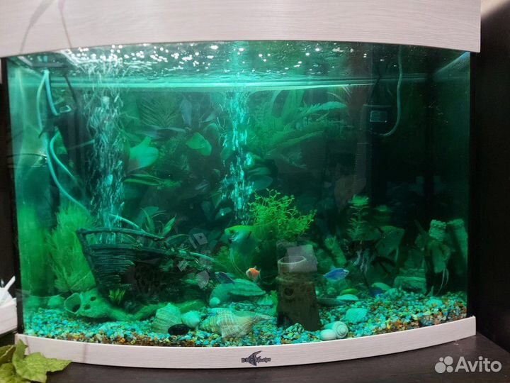 Аквариум