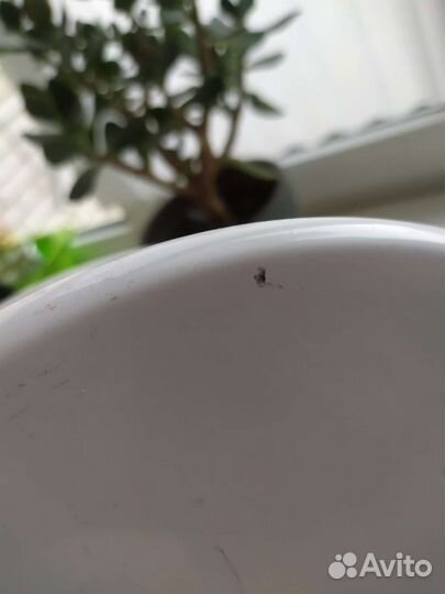 Основа для макраме IKEA