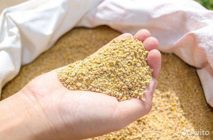 Комбикорм для кур несушек