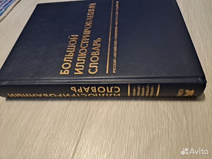 Большой иллюстрированный словарь