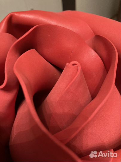 Розы гиганты