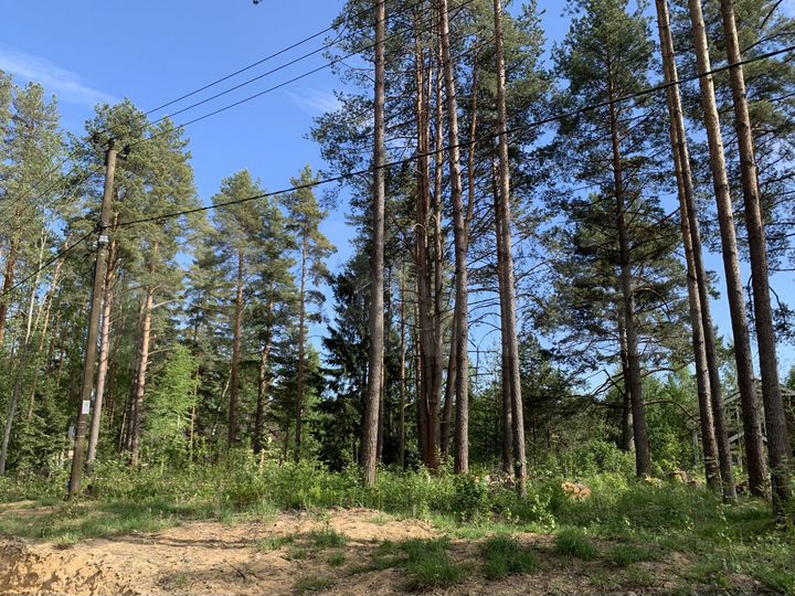 Участок 12,5 сот. (СНТ, ДНП)