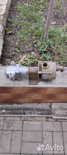 Водяная помпа