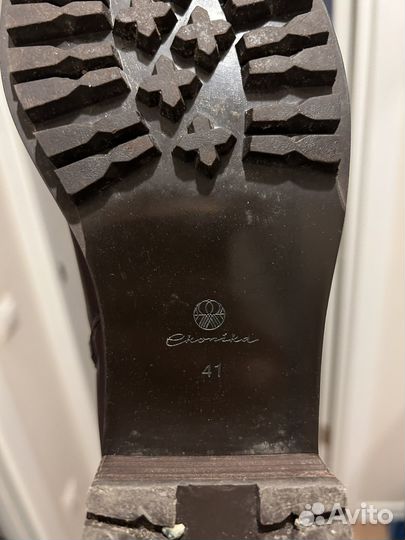 Сапоги женские зимние Ekonika