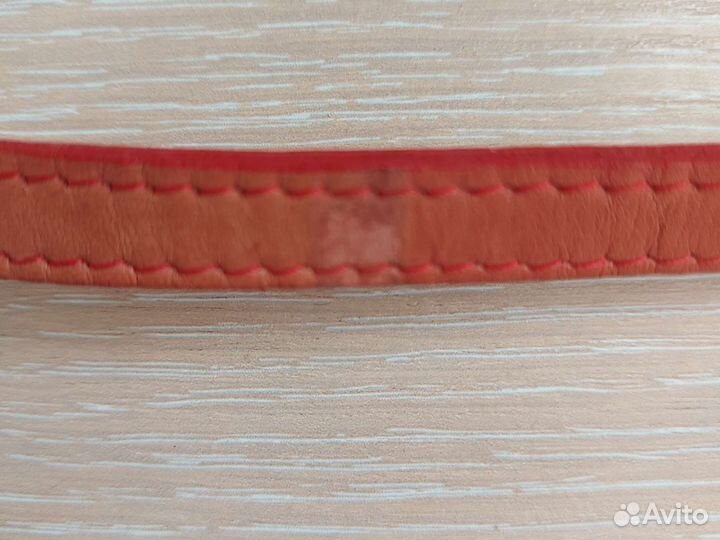 Поводок и ошейник для собак