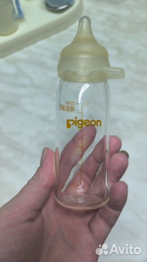 Бутылочка для недоношенный pigeon