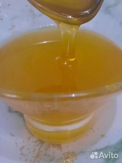 Мёд горный разнотравие, майский акация,горчица