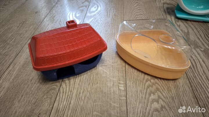 Хомячьи радости