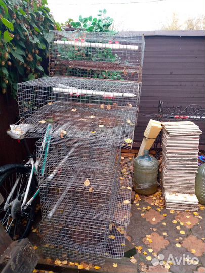 Клетки и брудера для перепелов бу