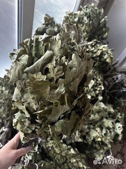 Веники для бани береза дуб