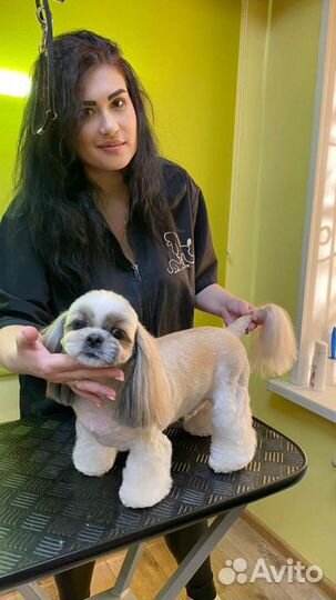 Груминг собак