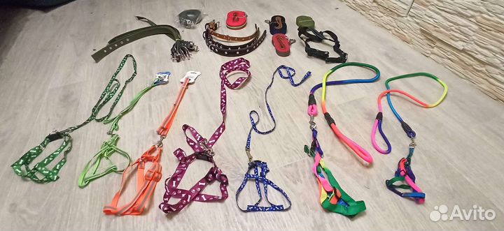 Ошейники миски туалеты игрушки когтеточки