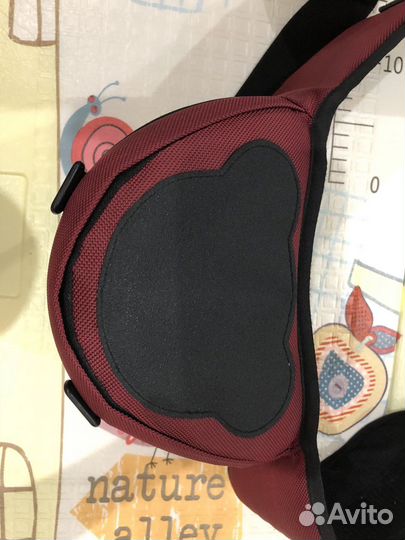 Хипсит pognae (Понье) оригинал