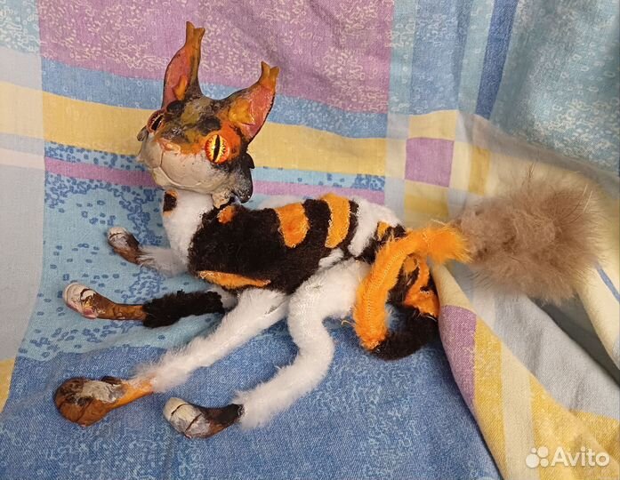 Сол Коты воители