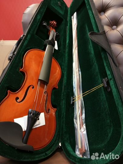 Скрипка новые