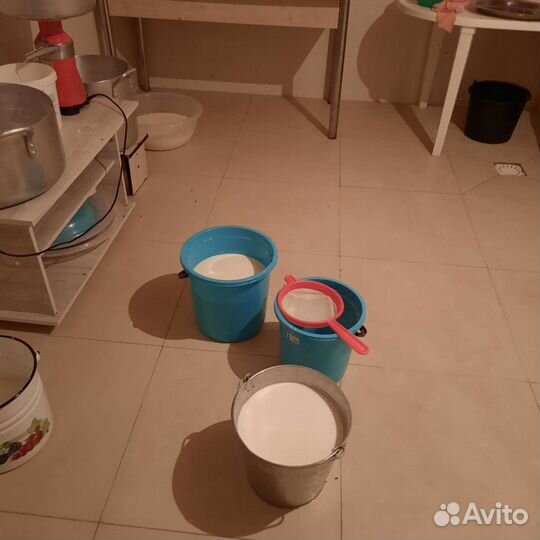 Молочные продукты