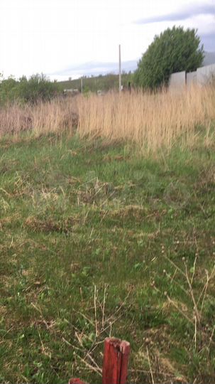 Участок 25 сот. (ИЖС)