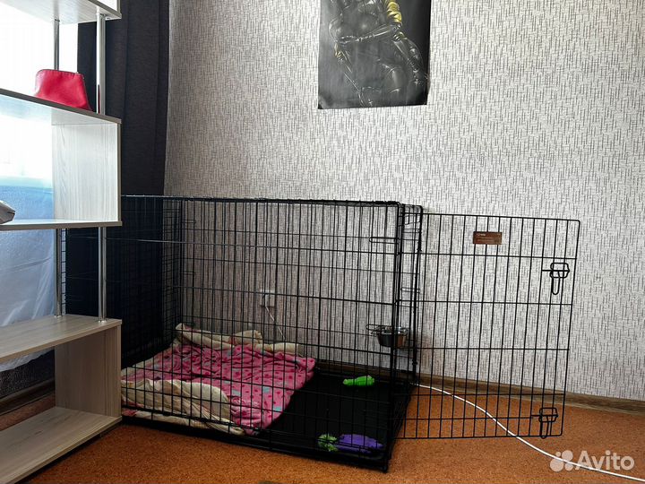 Вольер для собак