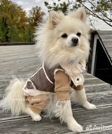 Куртка(меховая дубленка) для собак